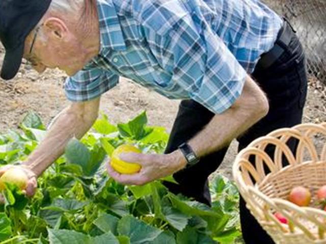 WASHINGTON ODD FELLOWS HOME